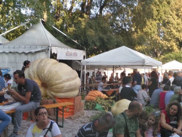 Fiera della zucca