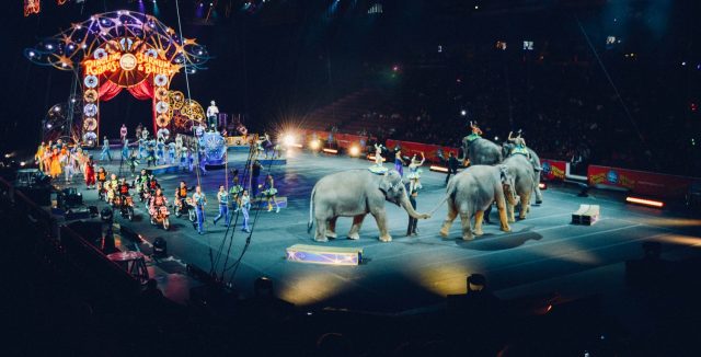 Circo2