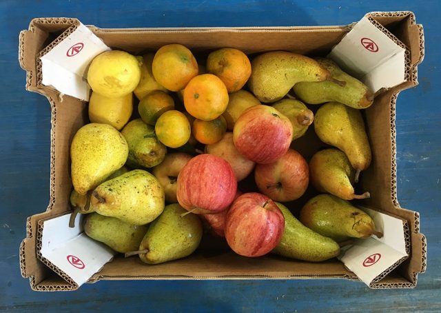 frutta