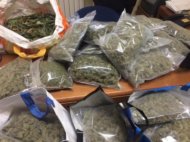 marijuana26b
