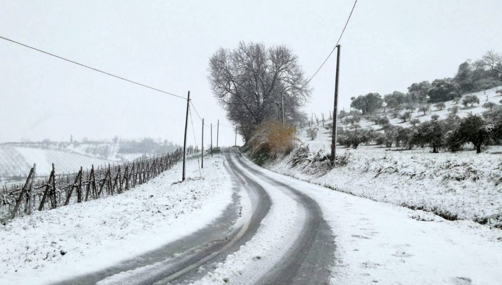 neve