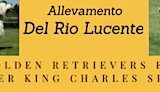 RioLucenteBanner2