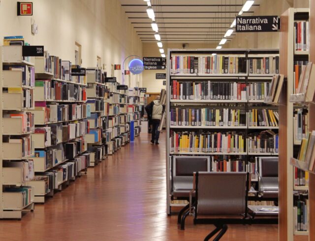 BIBLIOTECAPANIZZI (1)