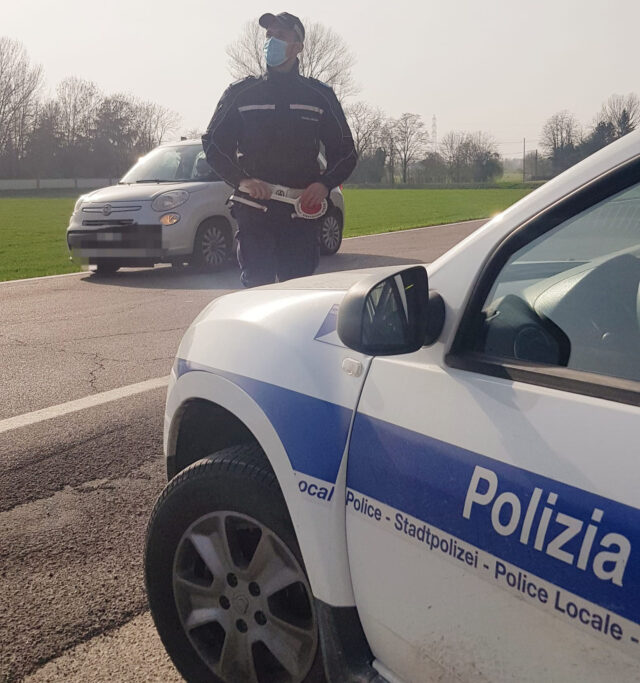 locale bassa reggiana