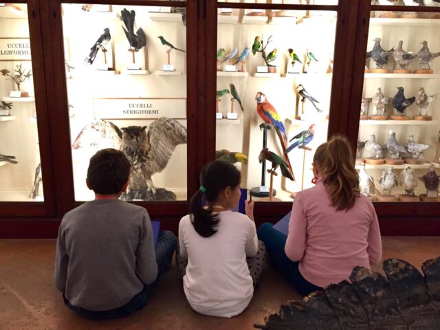 Museo_Bambini