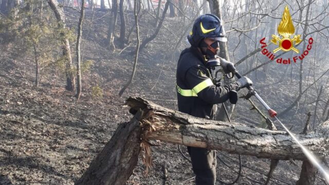 incendio_bosco