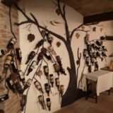 Cadonega-cantina_@NextoStopReggio.it