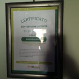 Cadonega-green