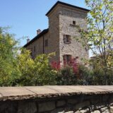 Cadonega4