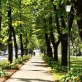 Viale Umberto I_percorsi ciclopedonali (2)