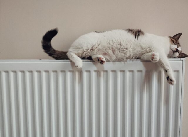 termosifone