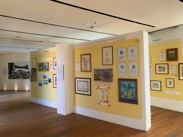 MOSTRA DAOLIO SPAZIO GERRA_n