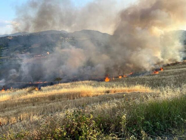 incendio-cast