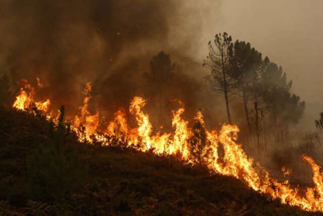 Incendio-bosc-foresta