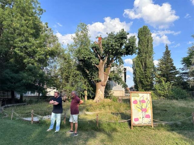 albero-habitat