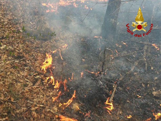 incendi-bosc