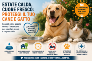 sicurezza-cani-gatti-caldo-300x200-1