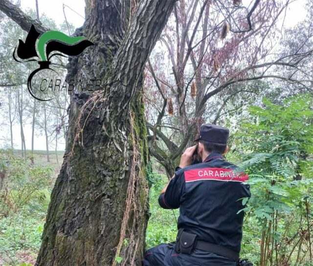 carabinieri-forestali-2