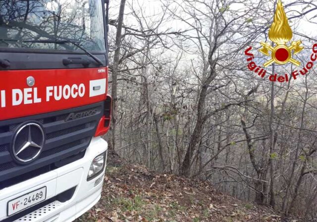 incendio-sottobosco