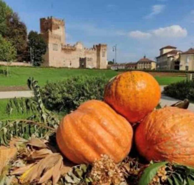 FIERA-DELLA-ZUCCA-6
