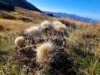 Appennino, la Regione fa il punto sull’andamento turistico e rafforza gli investimenti per la sicurezza e manutenzione degli impianti di risalita