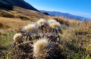 Appennino, la Regione fa il punto sull’andamento turistico e rafforza gli investimenti per la sicurezza e manutenzione degli impianti di risalita