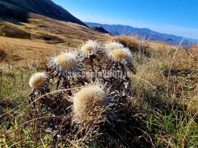 appennino-Modenese-30