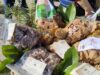 Festa della Castagna a Marola, arriva la seconda domenica