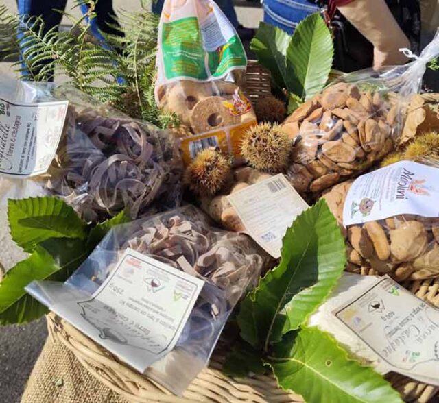 festa-castagna-marola
